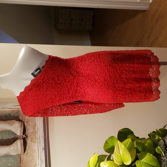 Express Dress - Picture 7 of 12